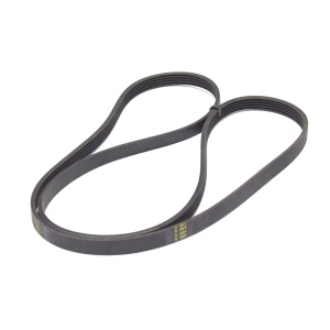 картинка Ремень приводной стиральной машины в Сервисном центре «Близнецов»