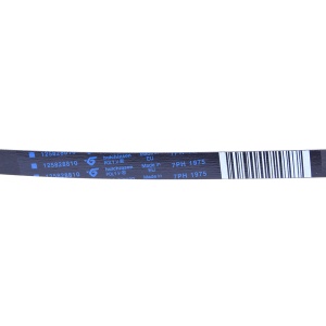 картинка Ремень приводной "1975 H7" сушильной машины в Сервисном центре «Близнецов»