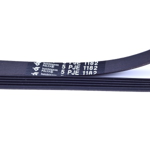 картинка Ремень приводной "1182 5PJE" стиральной машины в Сервисном центре «Близнецов»