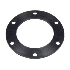 картинка Прокладка уплотнительная ТЭНа "F172x5mm" водонагревателя в Сервисном центре «Близнецов»